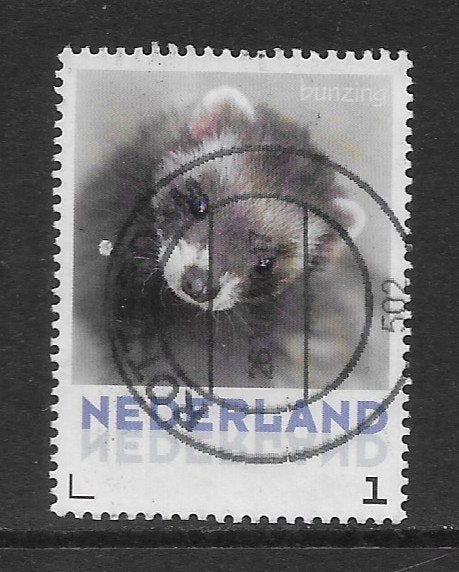 Persoonlijke, Zoogdieren, Bunzing (K2506), Ophalen of Verzenden