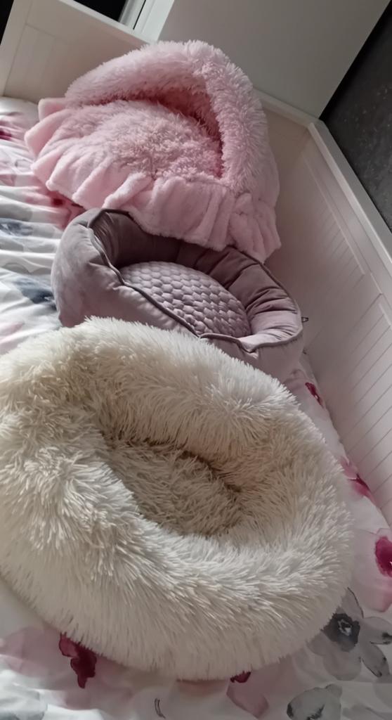 Te koop 3 leuke hondenmanden voor kleine hond., Ophalen of Verzenden