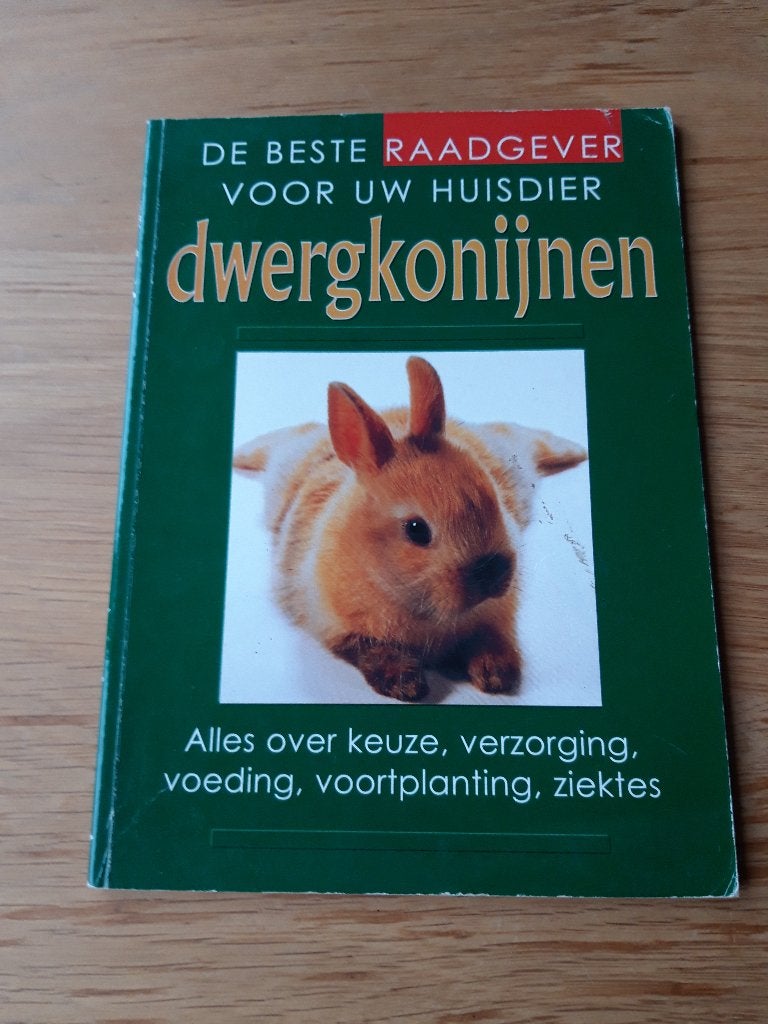 Dwergkonijnen, Ophalen of Verzenden, Zo goed als nieuw, Konijnen of Knaagdieren