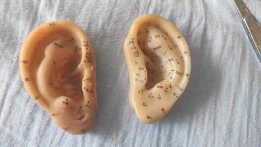 Anatomische Modellen Oor-Acupunctuur (Set van 2), Ophalen of Verzenden, Zo goed als nieuw