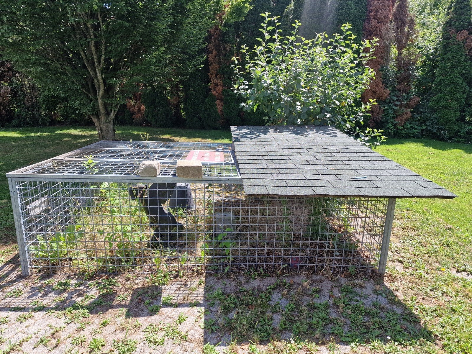 XXL dierenren konijnenren kippenren met dak 2x3 meter, Dieren en Toebehoren, Knaagdieren en Konijnen | Hokken en Kooien, Ophalen