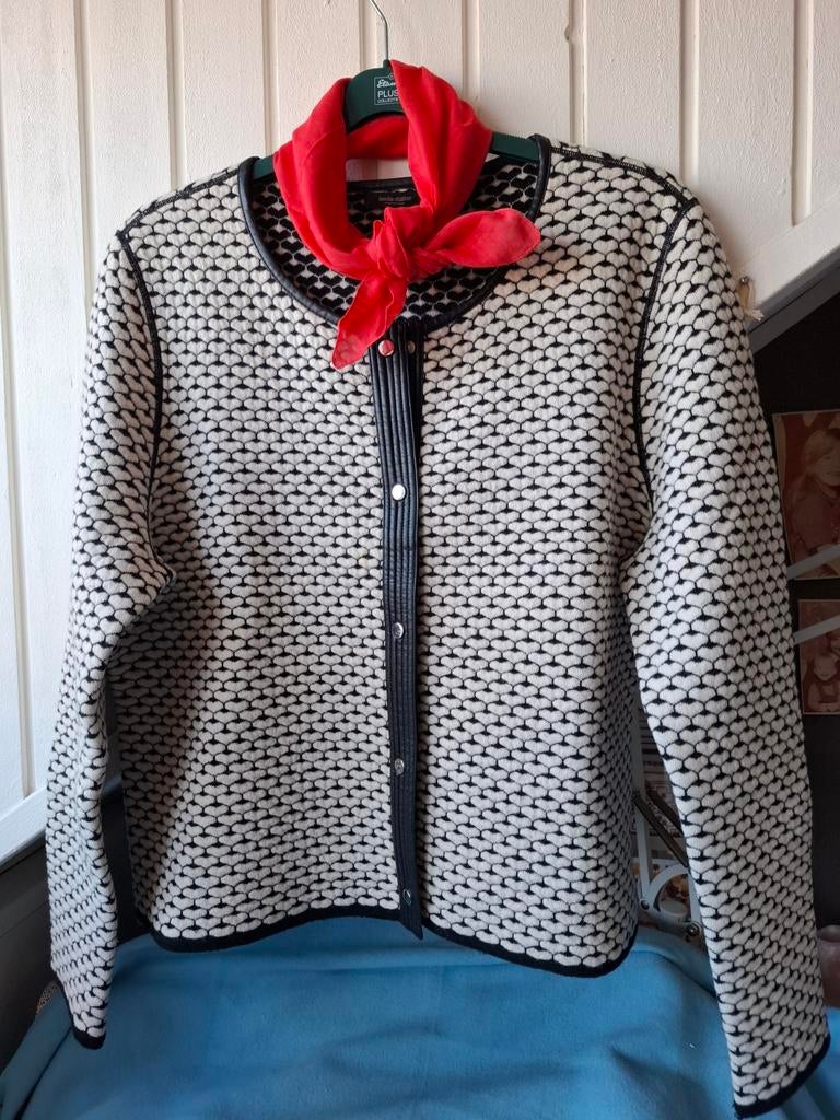 Voorjaarsjasje wol, Ophalen of Verzenden, Zo goed als nieuw, Maat 46/48 (XL) of groter