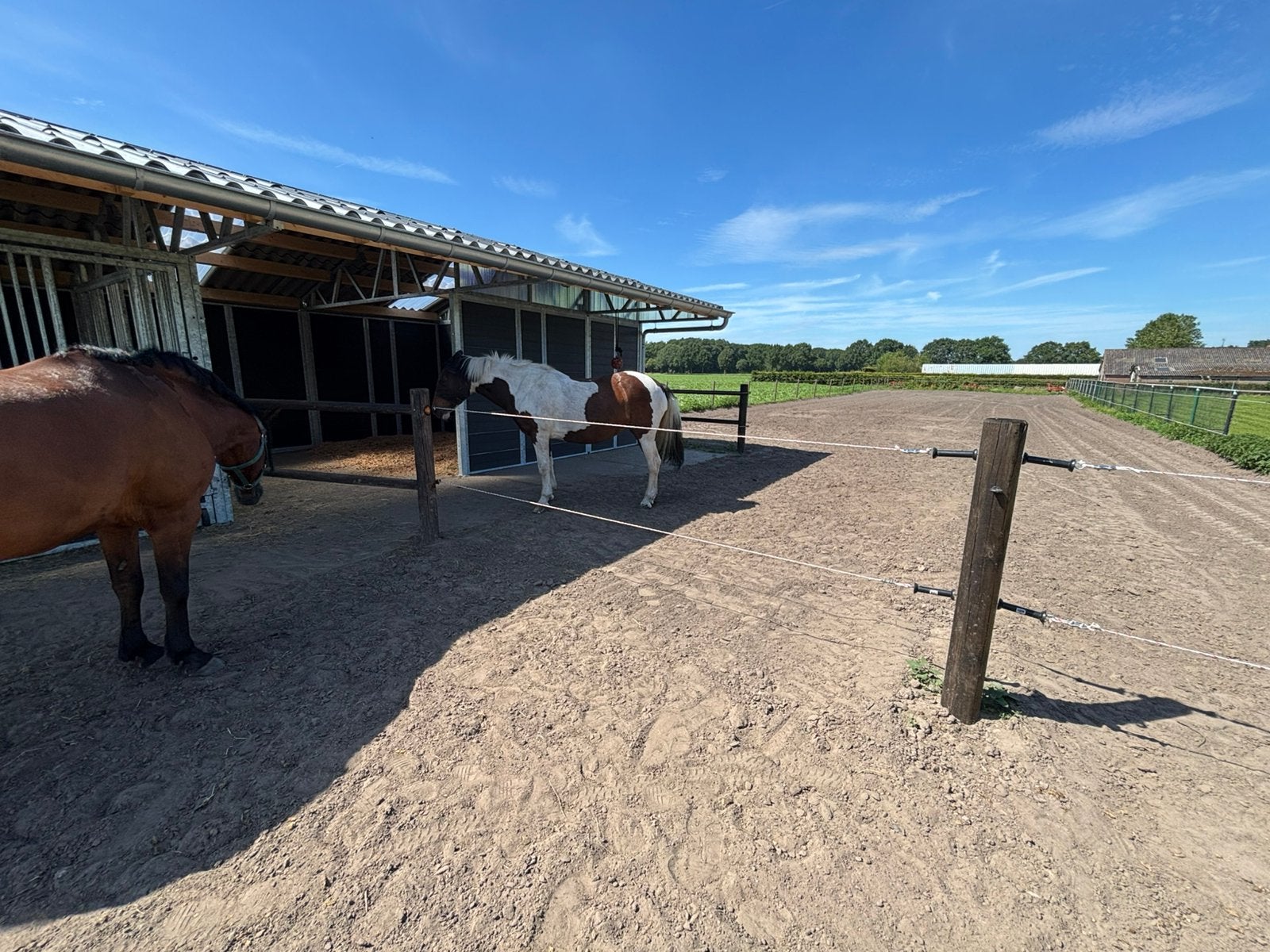 Inloopstal met ruime paddock. Met onbeperkt droog hooi!, Weidegang, 2 of 3 paarden of pony's