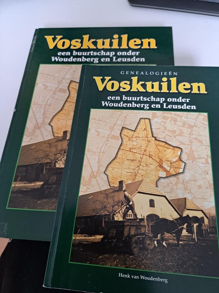 Henk van Woudenberg - Voskuilen - 2 boeken, Ophalen of Verzenden, Gelezen