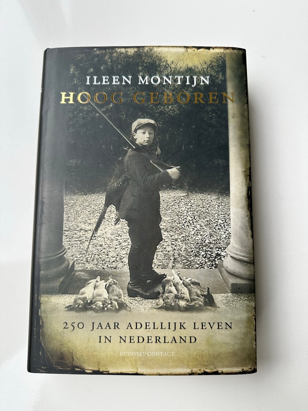 Hoog Geboren - Ileen Montijn, Ophalen of Verzenden, 20e eeuw of later, Zo goed als nieuw