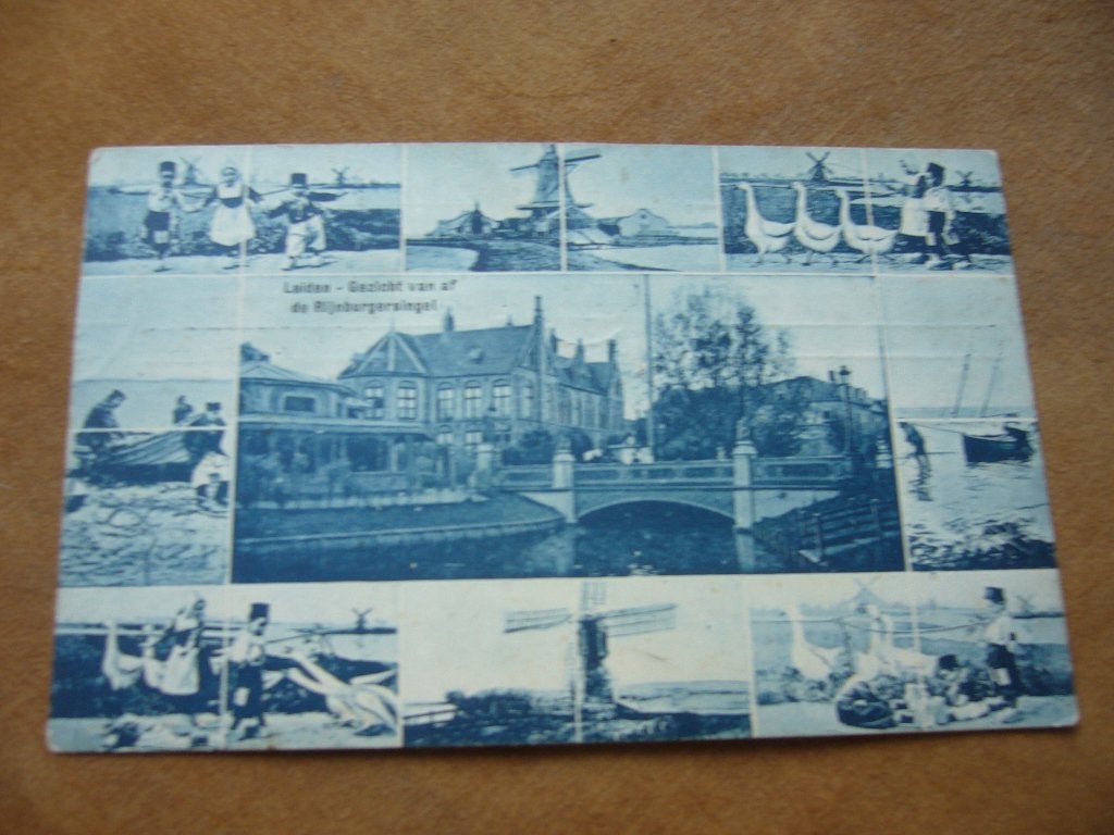 LEIDEN  =  GEZICHT VAN AF RIJNSBURGERSINGEL MET VEEL MOLENS, Ophalen of Verzenden, Voor 1920, Gelopen, Zuid-Holland