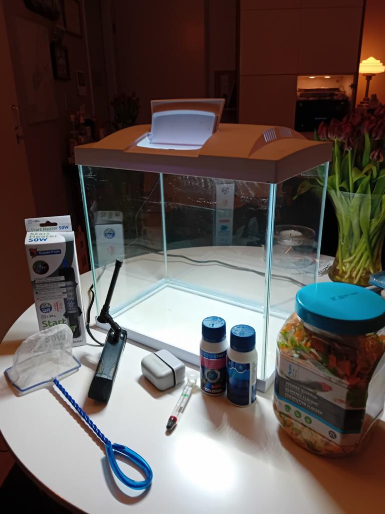 Starters Aquariumset 40 liter voor 60 euro, Ophalen, Inclusief toebehoren, Zo goed als nieuw, Leeg aquarium