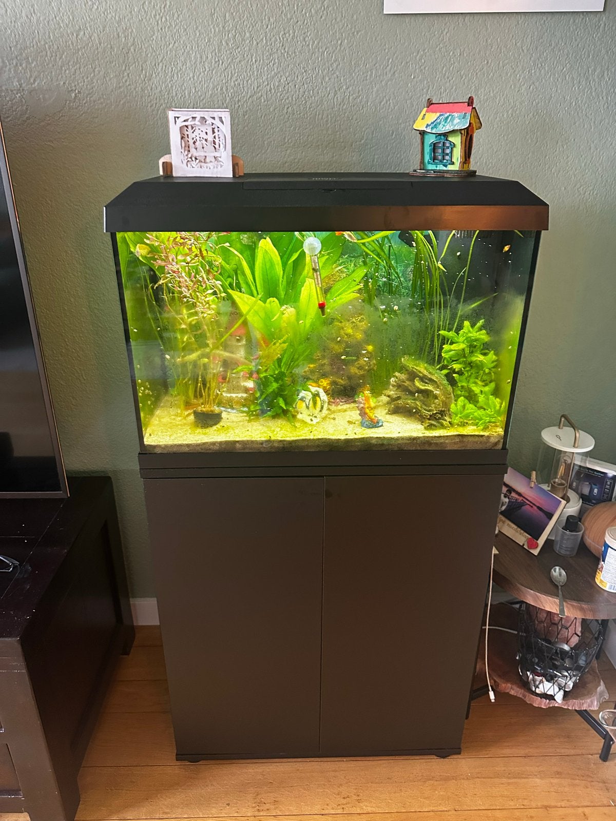 Juwel Primo 70 Aquarium 2.0 + Juwel Lido 120 kast, Dieren en Toebehoren, Vissen | Aquaria en Toebehoren, Ophalen of Verzenden