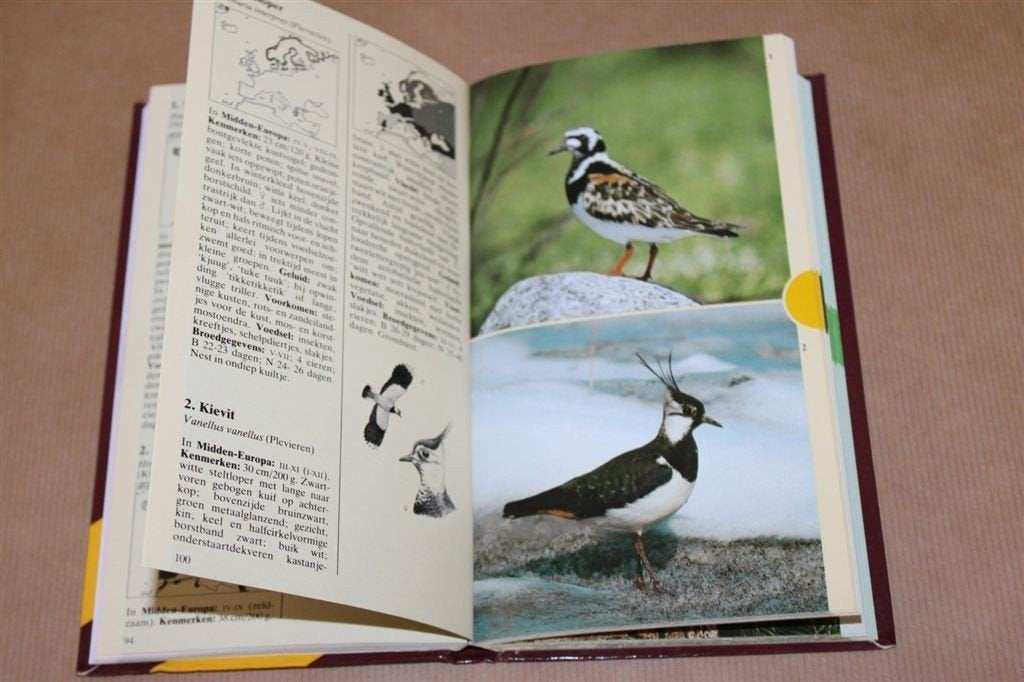 Thieme vogelgids in kleur., Ophalen of Verzenden, Gelezen