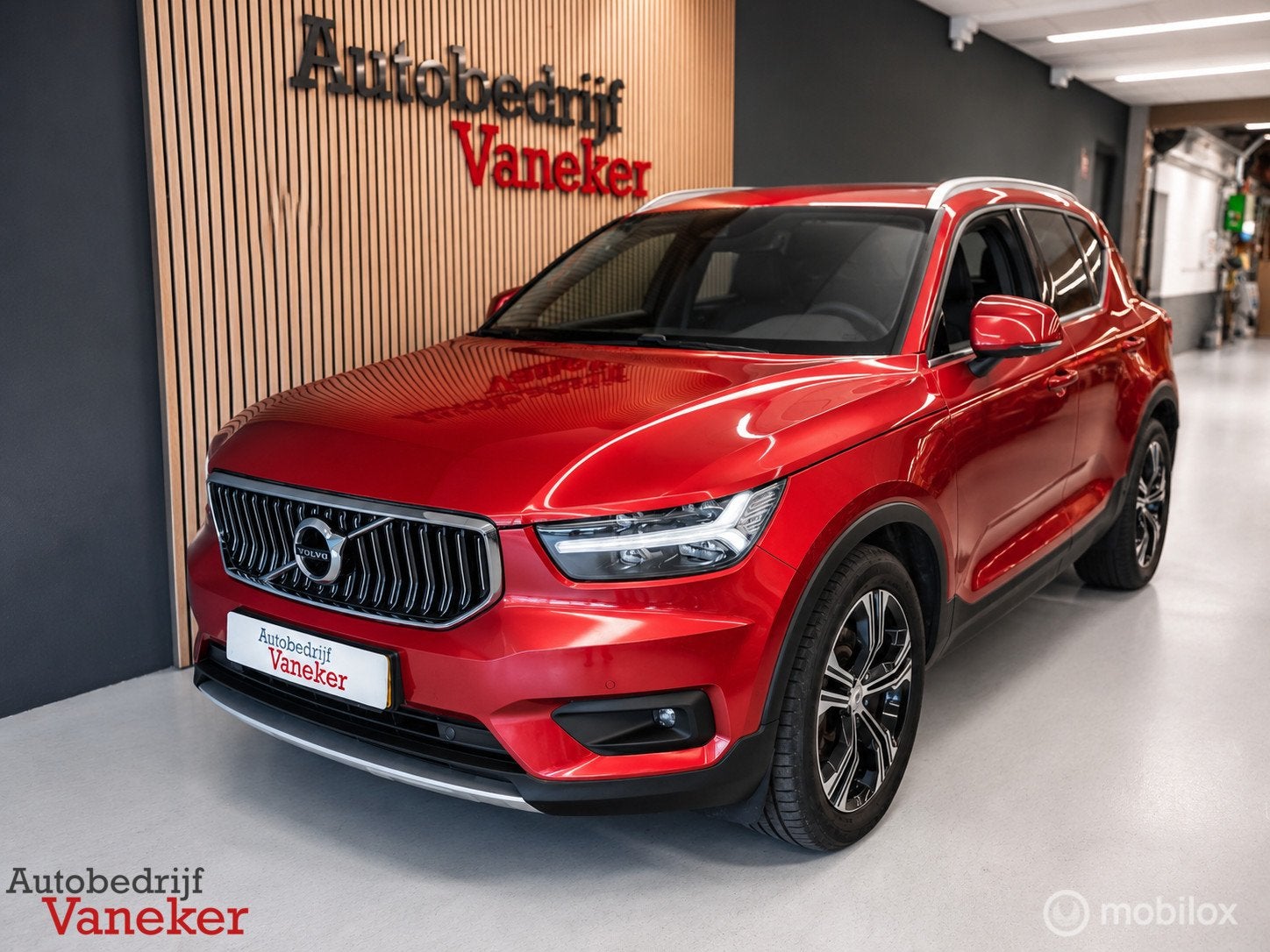Volvo XC40 1.5 T4 Recharge Inscription Expression Fusion Red, Leder, Bedrijf, Hybride Elektrisch/Benzine, 3 cilinders