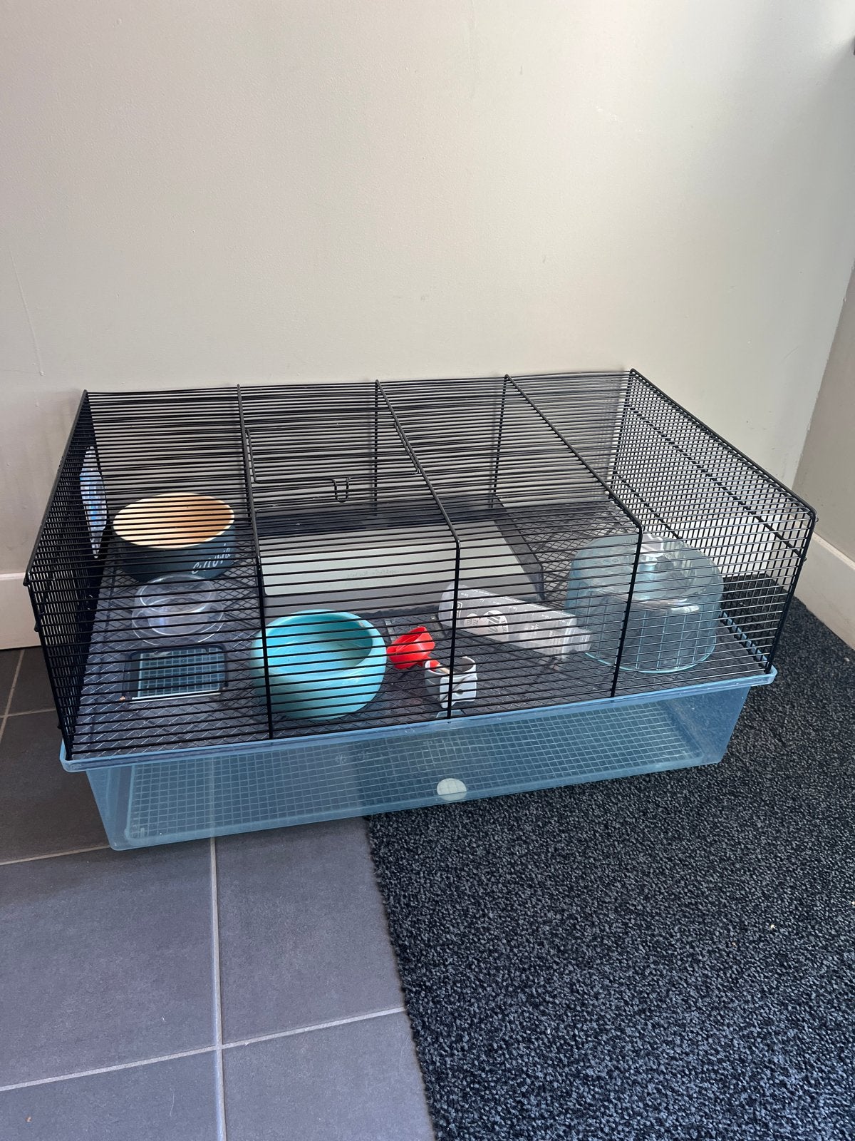 Hamsterkooi met toebehoren, Ophalen of Verzenden, Zo goed als nieuw, Verzorging