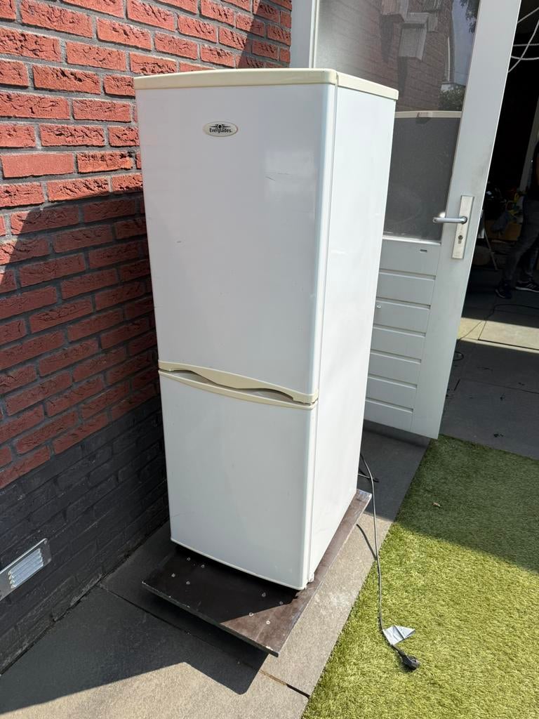 Everglades koelkast met vriezer, Ophalen, 200 liter of meer, 160 cm of meer, Zo goed als nieuw