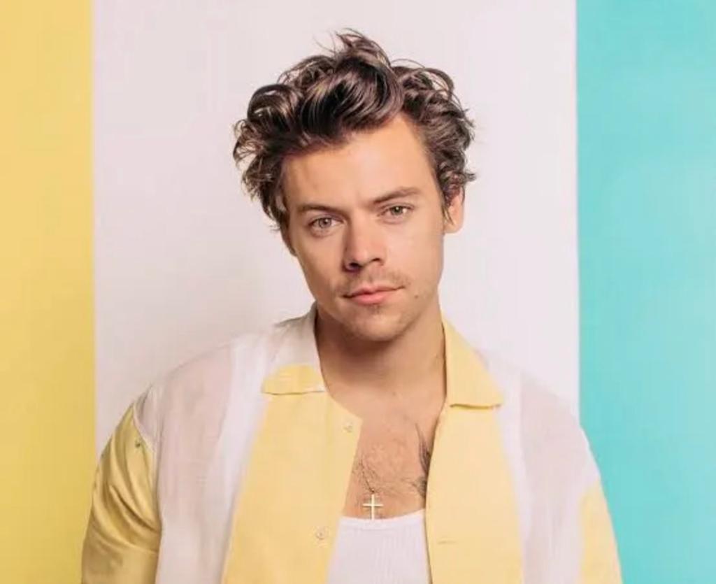 Harry styles 22 mei, Tickets en Kaartjes, Concerten | Pop, Eén persoon, Mei