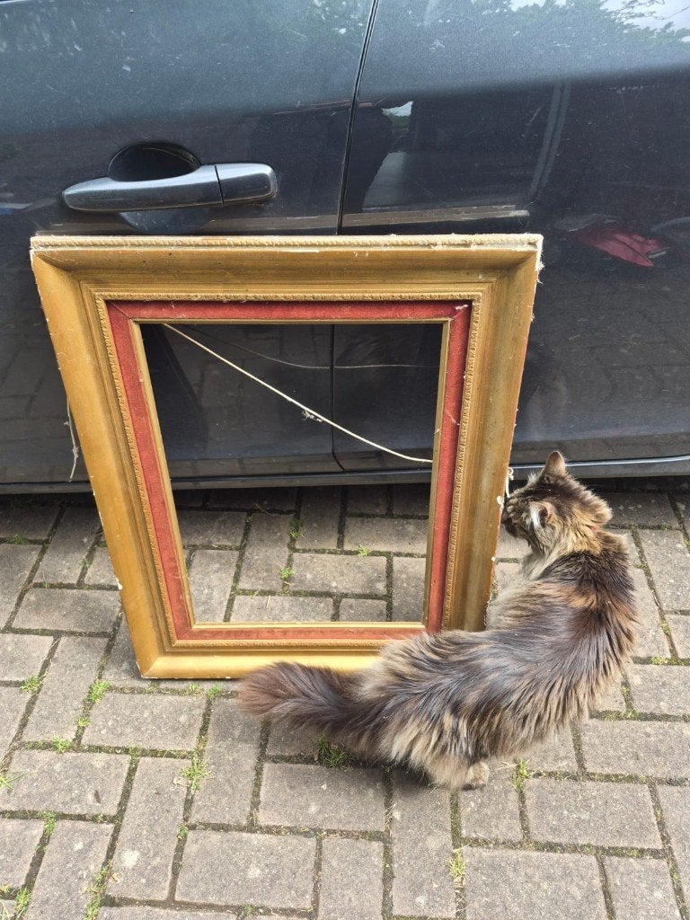 Antieke vergulde schilderijlijst, Huis en Inrichting, Woonaccessoires | Schilderijen, Tekeningen en Foto's, Gebruikt, Schilderij