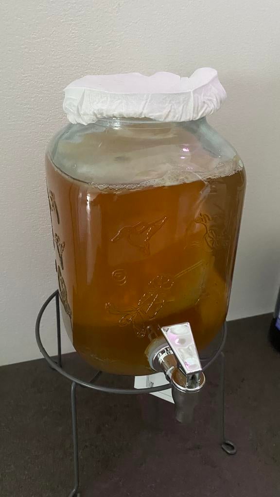 Scoby + starter vloeistof voor Kombucha - biologisch & vers, Ophalen of Verzenden