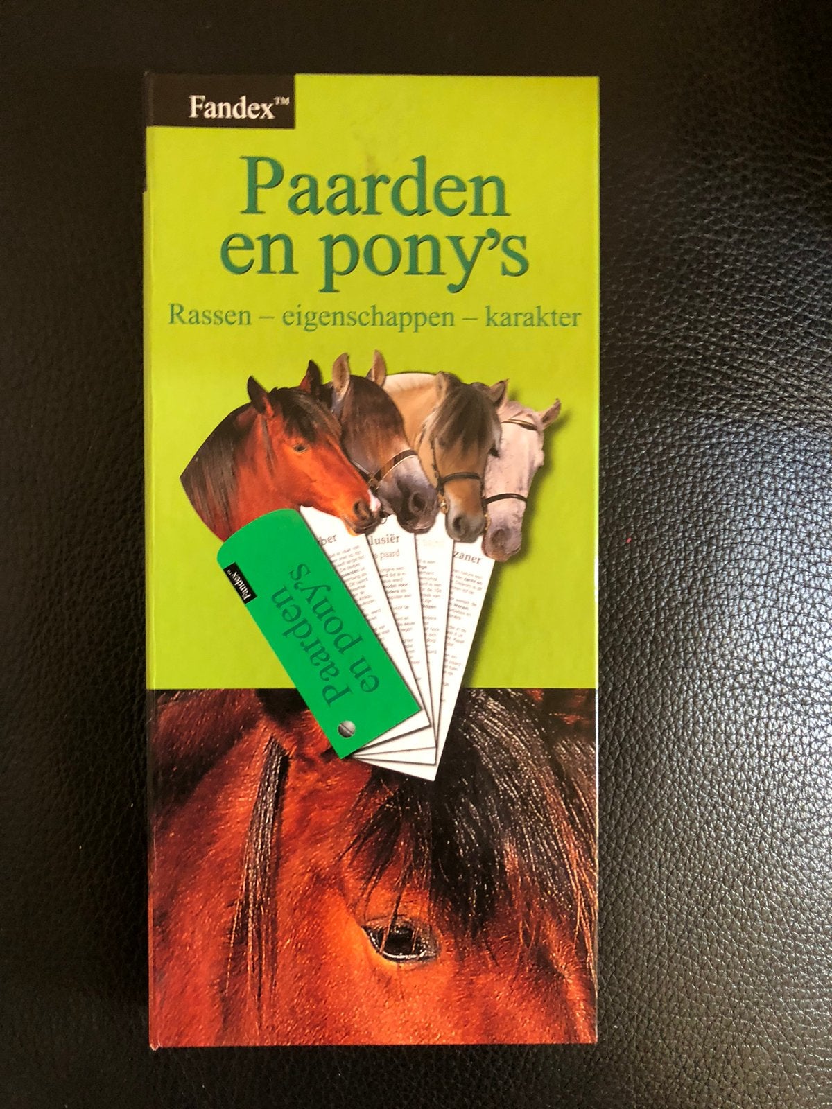 Paarden en Pony’s (Fandex), Ophalen of Verzenden, Gelezen, Paarden of Pony's