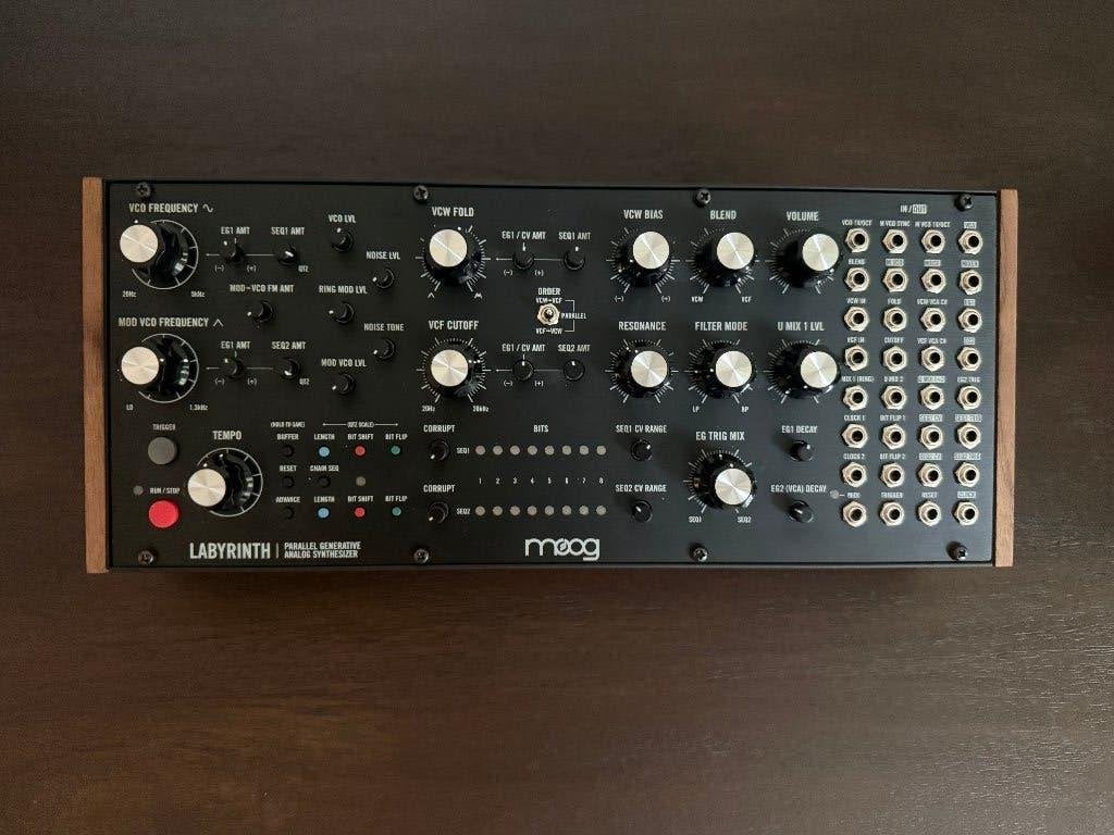 Moog Labyrinth - Zeer goede staat, Muziek en Instrumenten, Ophalen of Verzenden, Zo goed als nieuw, Overige aantallen, Overige merken
