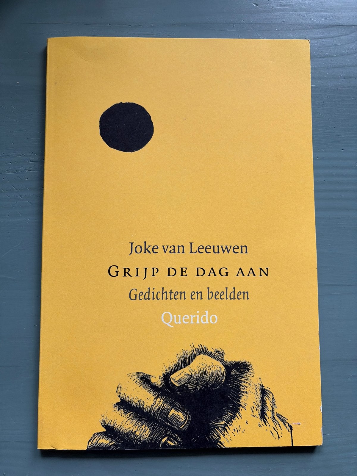 Grijp de dag aan - Gedichten en beelden - Joke van Leeuwen, Verzenden, Zo goed als nieuw, Eén auteur