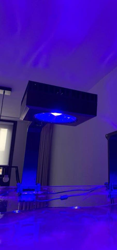 Reefled, Ophalen of Verzenden, Zo goed als nieuw, Licht