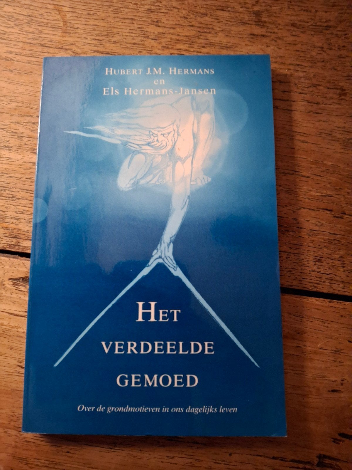 H.J.M. Hermans - Het verdeelde gemoed, H.J.M. Hermans, Ophalen of Verzenden, Ontwikkelingspsychologie, Zo goed als nieuw