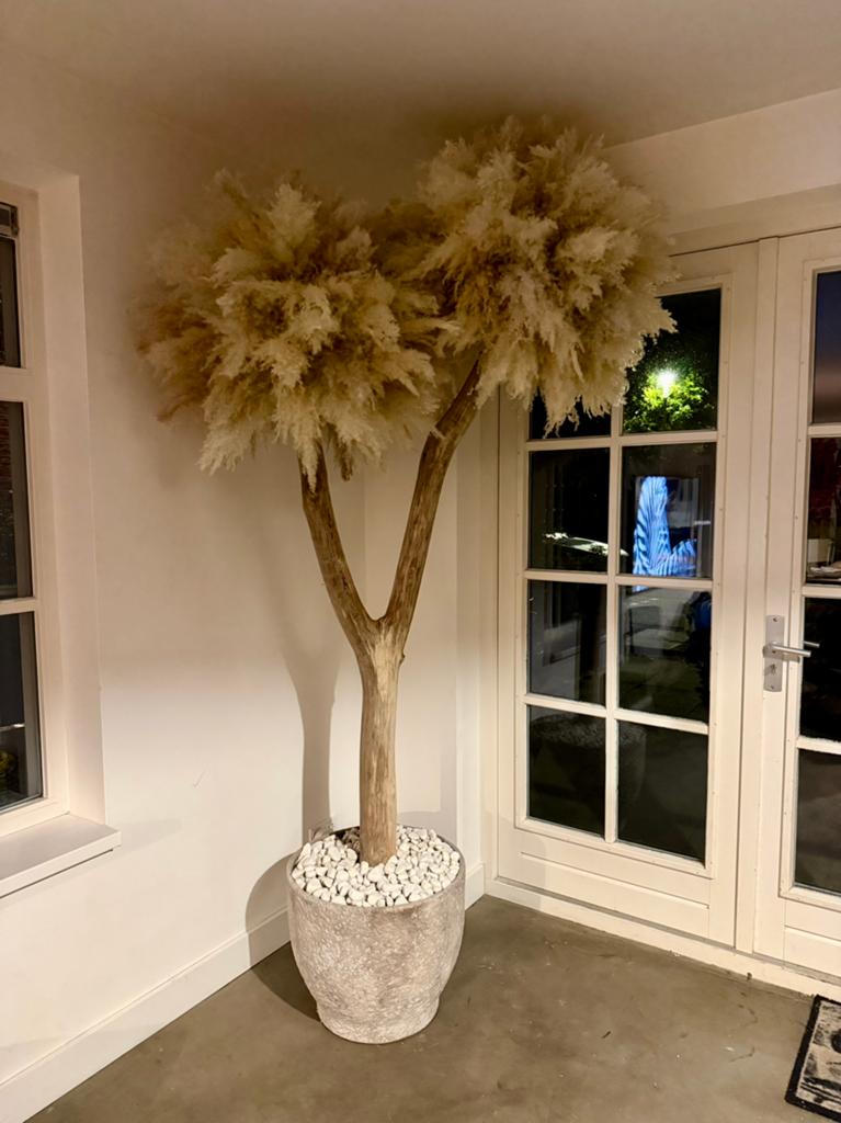 Decoratieve Pampasgras Boom - Uniek en Stijlvol, Beige, Boho, Ophalen of Verzenden, Zo goed als nieuw