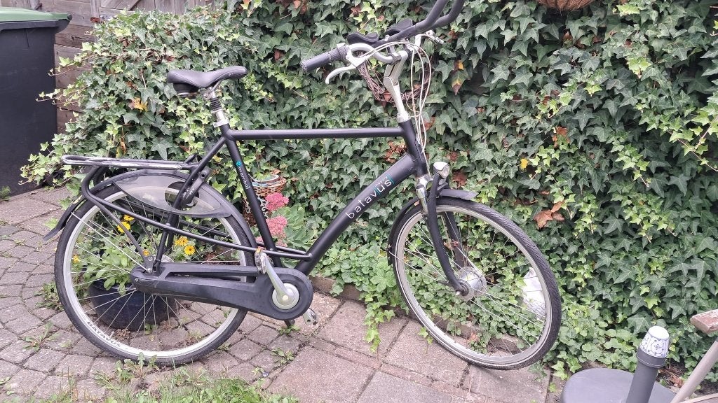 Batavus Mambo (extra hoog frame: 65 cm), Ophalen, Gebruikt, Versnellingen, Batavus