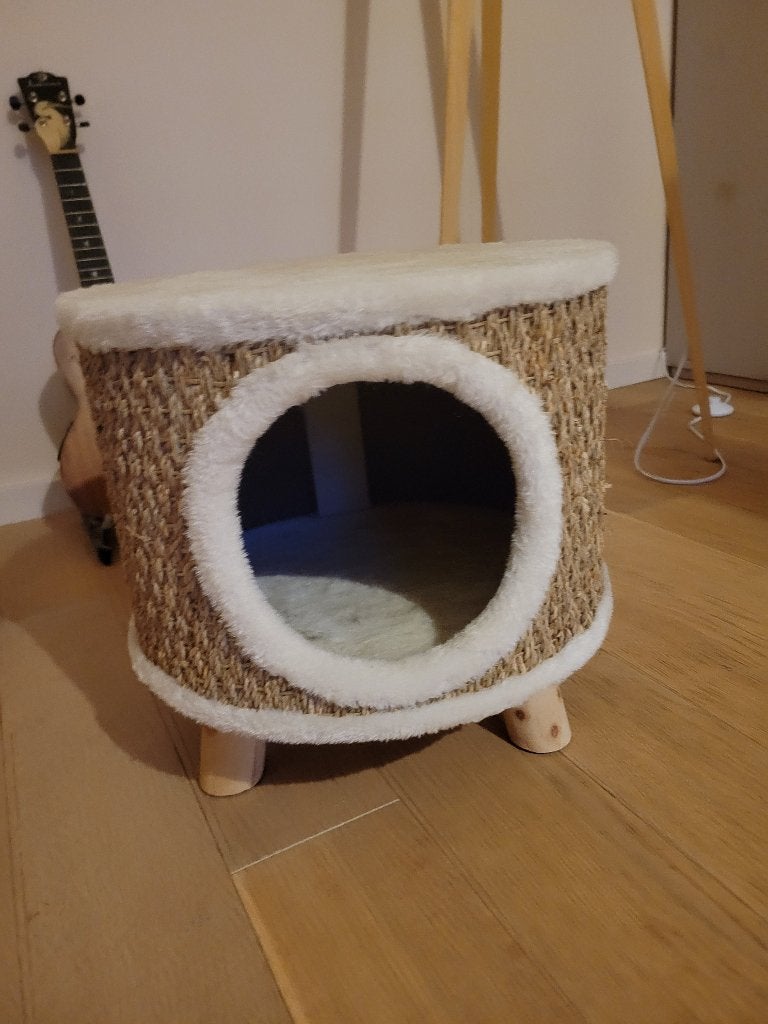 Gratis Katten Meubel, Dieren en Toebehoren, Ophalen, Gebruikt