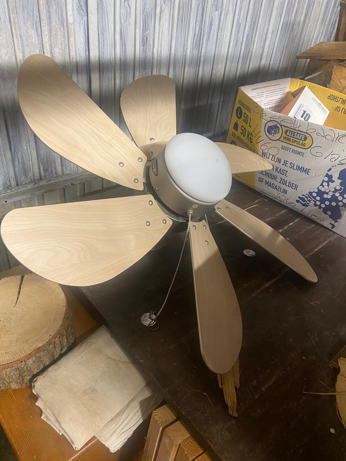 Mooie plafond ventilator met licht, Ophalen, Gebruikt, Plafondventilator