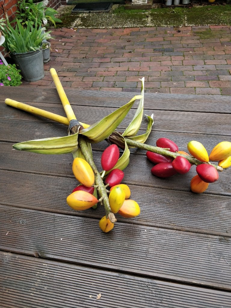 Decoratie takken met exotisch fruit, Binnen, Ophalen of Verzenden, Kunsttak, Rood
