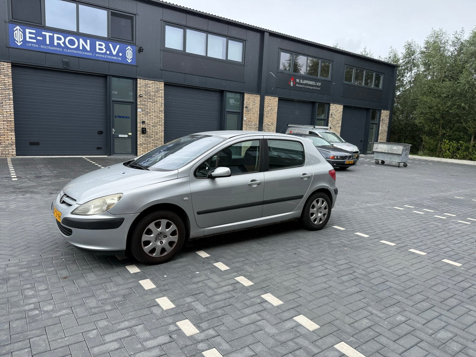 Peugeot 307 1.6 16V 5DRS 2002 Grijs, Voorwielaandrijving, 4 cilinders, 610 kg, 1200 kg