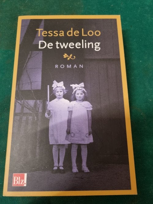 boek de tweeling tessa de loo, Ophalen of Verzenden