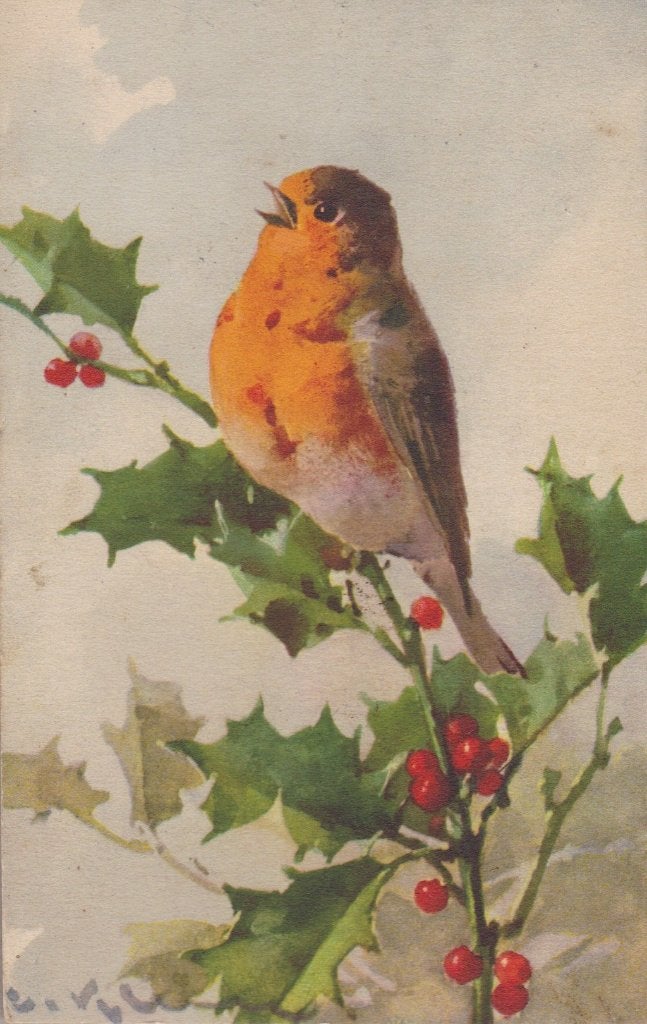 Catharina Klein. Roodborstje op Hulstak. Oude AK., Ophalen of Verzenden, 1920 tot 1940, Ongelopen, Overige thema's