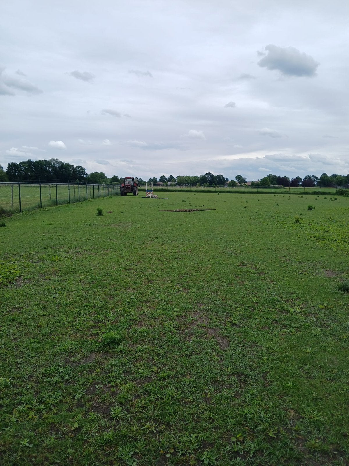 Weiland met schuilstal ., 2 of 3 paarden of pony's