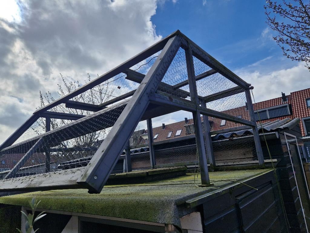 FREE: (Gedemonteerd)Large Wooden Pigeon Loft / Flight Cage, Meerdere dieren, Postduif
