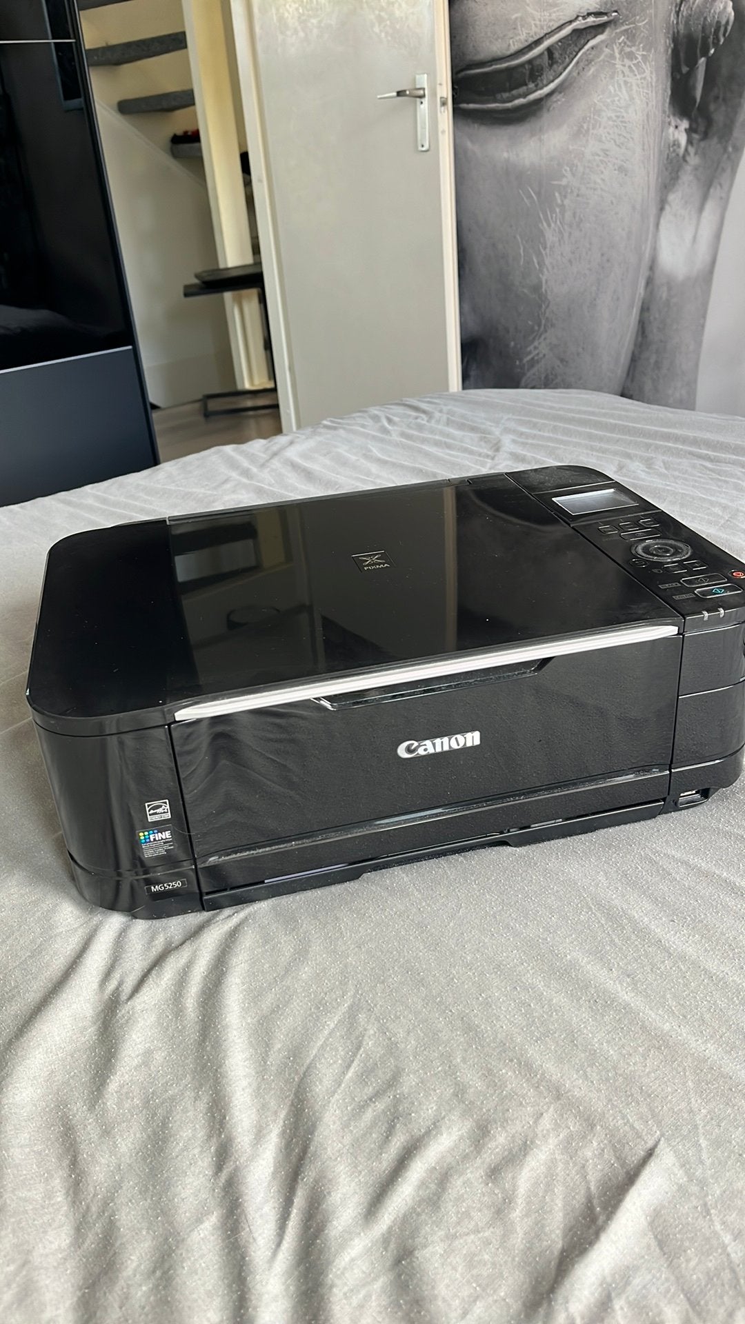 Canon MG5250 printer, Computers en Software, Printers, Ophalen, Zo goed als nieuw