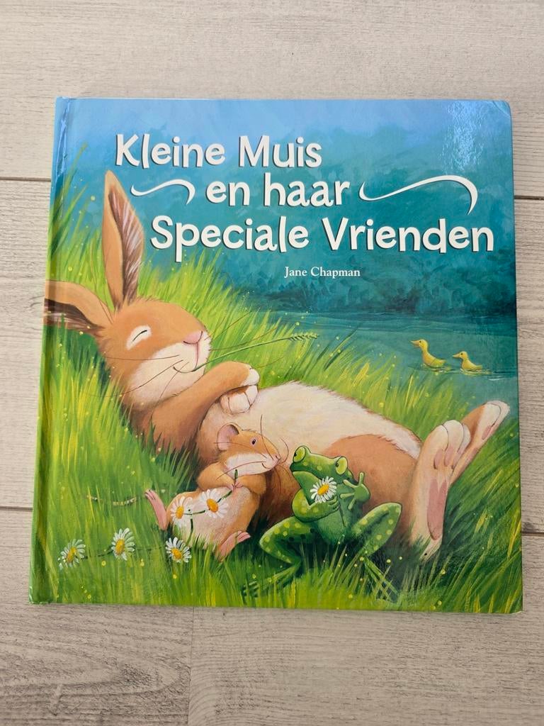 Prentenboek Kleine Muis en haar Speciale Vrienden, Fictie algemeen, Jongen of Meisje, Jane Chapman, Ophalen of Verzenden