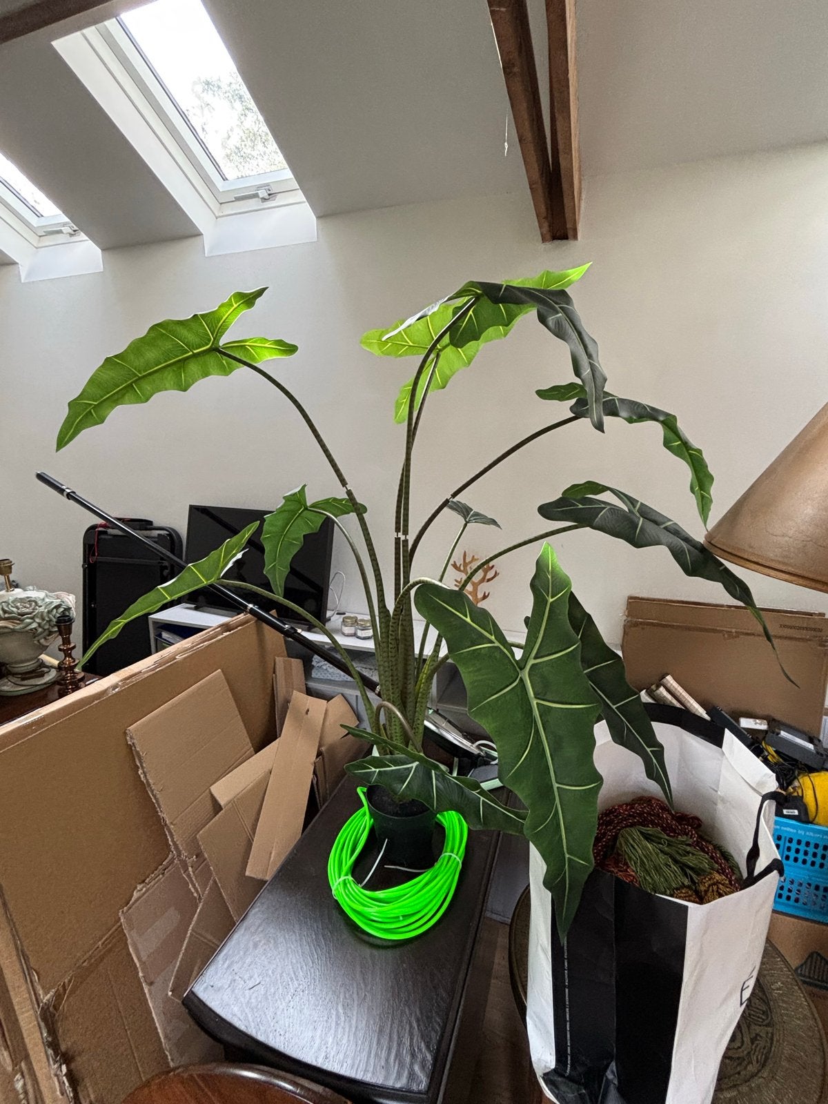 Grote kunstplant Olifantsoor - Alocasia - 150cm hoog, Ophalen, Binnen, Groen, Kunstplant