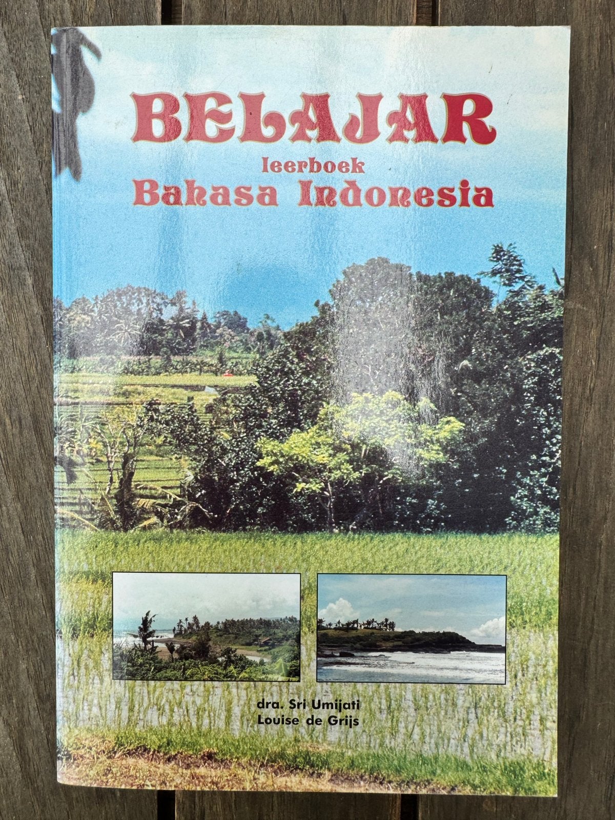 Belajar: Leerboek Bahasa Indonesia - Sri Umijati & Louise de, Boeken, Ophalen of Verzenden, Gelezen, Non-fictie