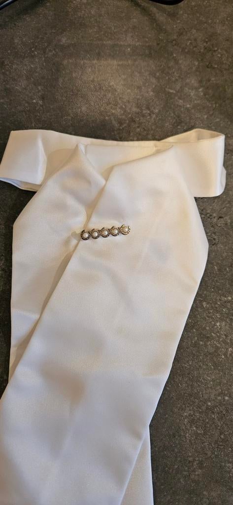 Wedstrijd Plastron met speld M, Dieren en Toebehoren, Paardrijkleding, Ophalen of Verzenden, Dressuur