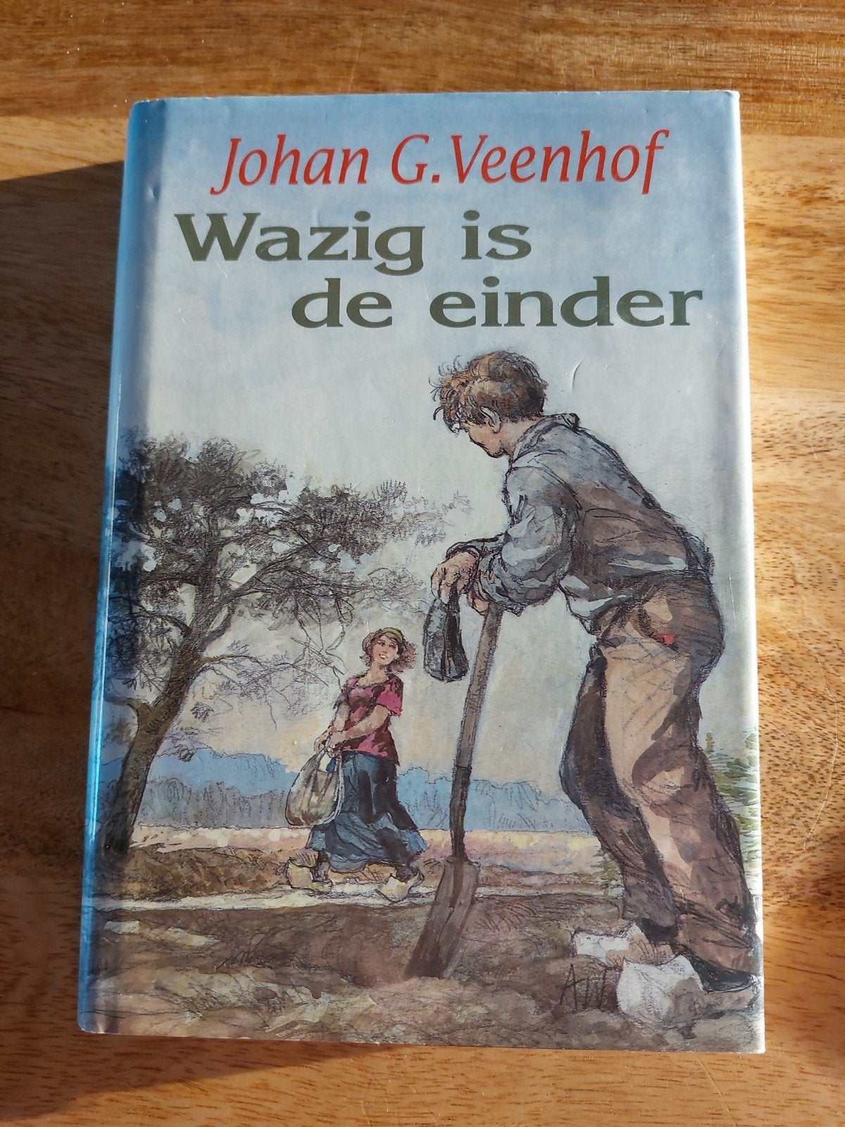 Wazig is de einder - Johan G. Veenhof, Ophalen, Gelezen, Johan G. Veenhof, Nederland