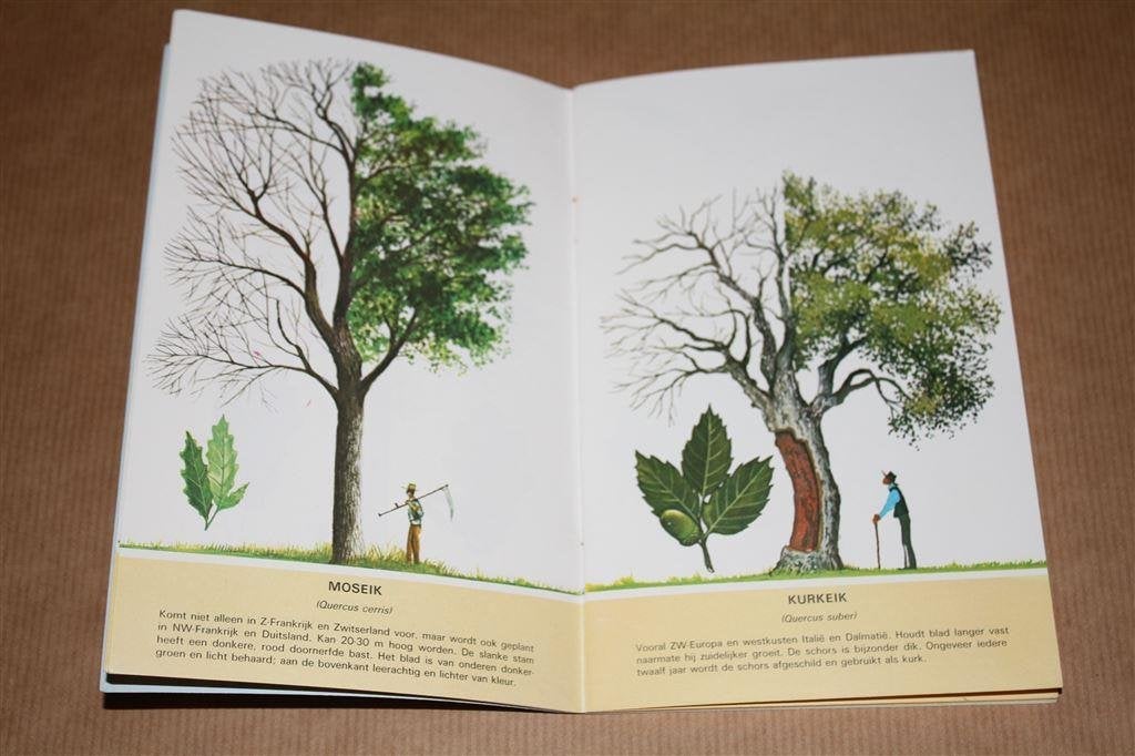 Bomen in Europa. Reader's Digest uitgave., Boeken, Ophalen of Verzenden, Gelezen, Bloemen, Planten en Bomen