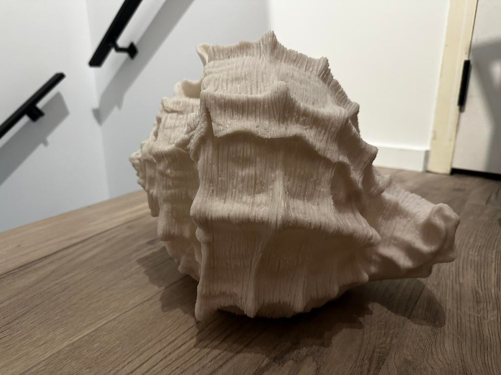 Schelp lamp nieuw, Ophalen of Verzenden, Zo goed als nieuw, Minder dan 50 cm