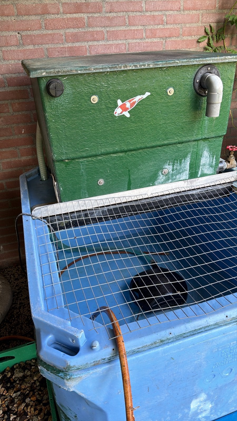 Quarantaine vissen bak, Dieren en Toebehoren, Ophalen, Zo goed als nieuw