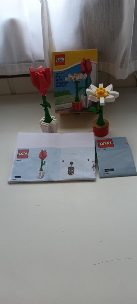 LEGO Bloemen (Tulp & Madeliefje) Set 40187, Compleet, Overige thema's, Lego, Ophalen of Verzenden