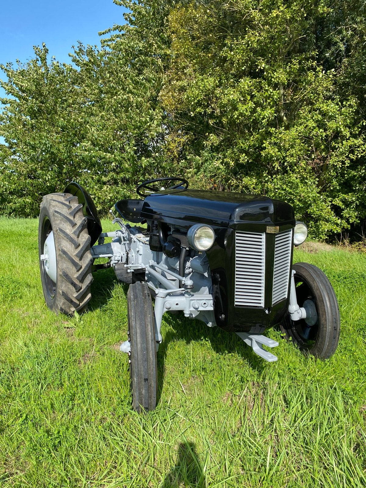 Ferguson TE20 Oldtimer Tractor 1956, Ophalen