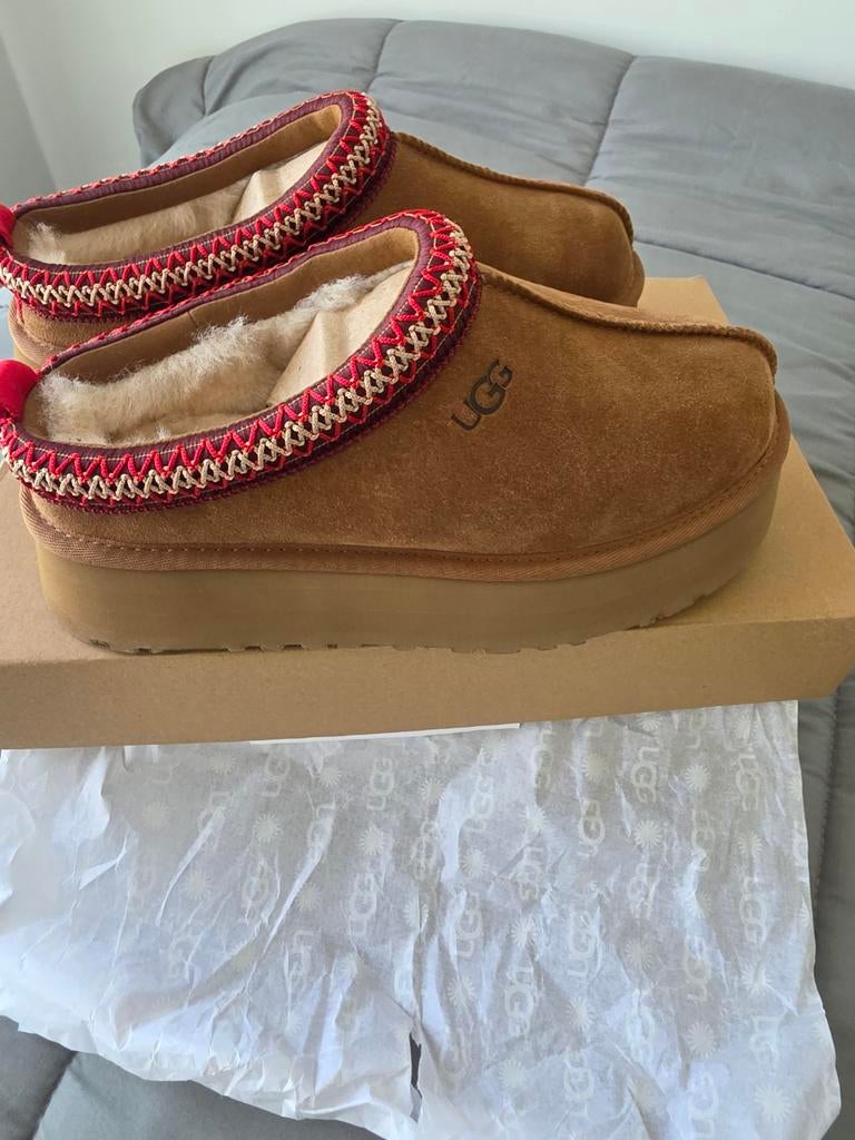 Nieuwe UGG Tazz II - Ongebruikt en in originele doos, UGG, Bruin, Nieuw, Dansschoenen
