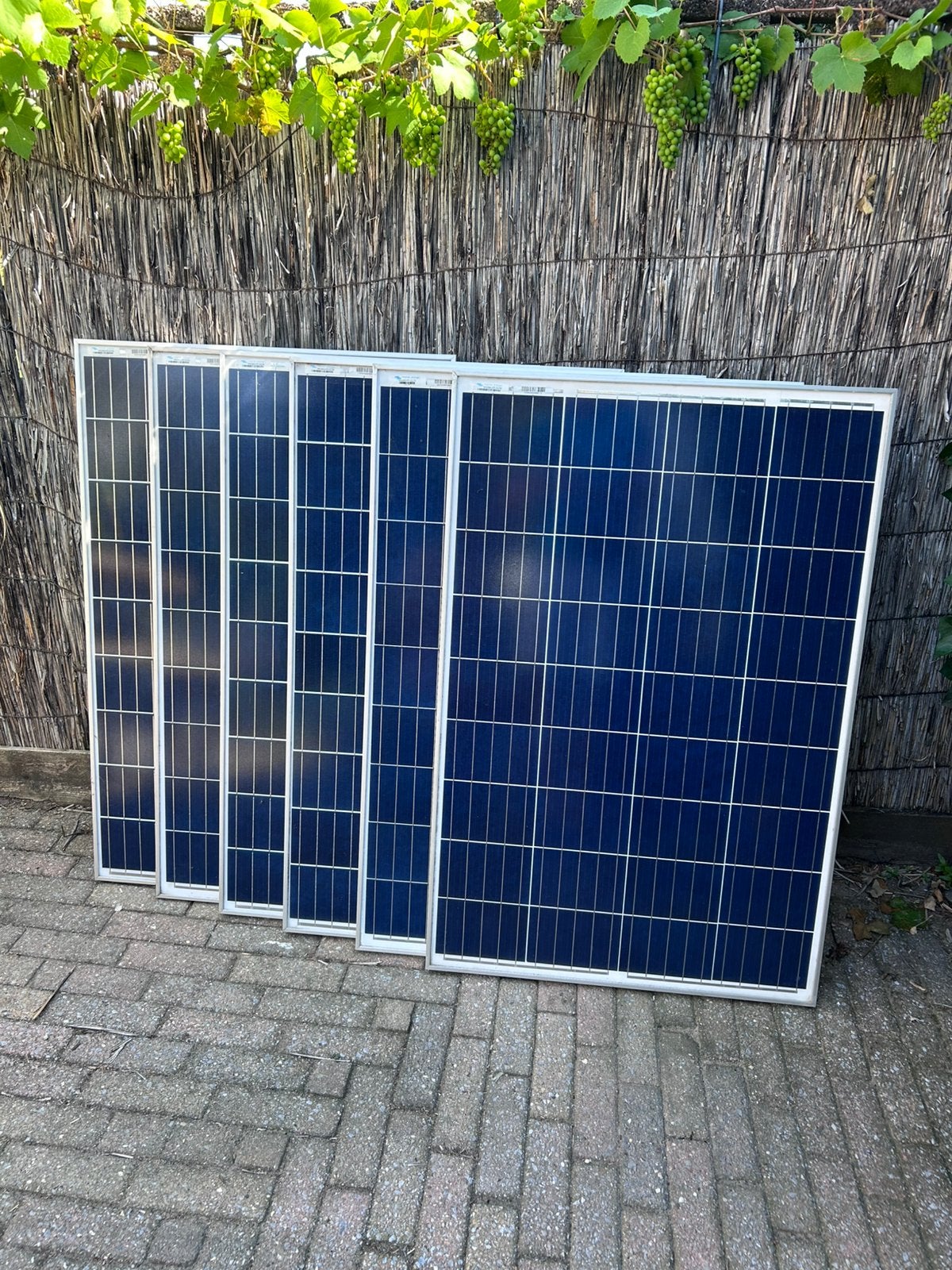Victron zonnepanelen 6x, Ophalen, Gebruikt, Paneel