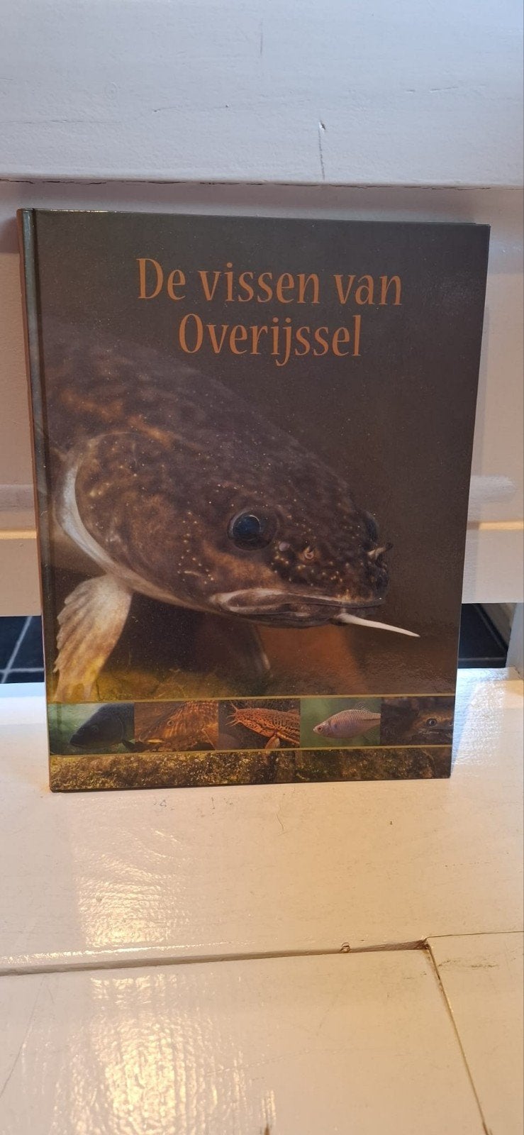 de vissen van Overijssel boek, Boeken, M.E Schipbouwer, Nieuw, Ophalen of Verzenden, Overige onderwerpen