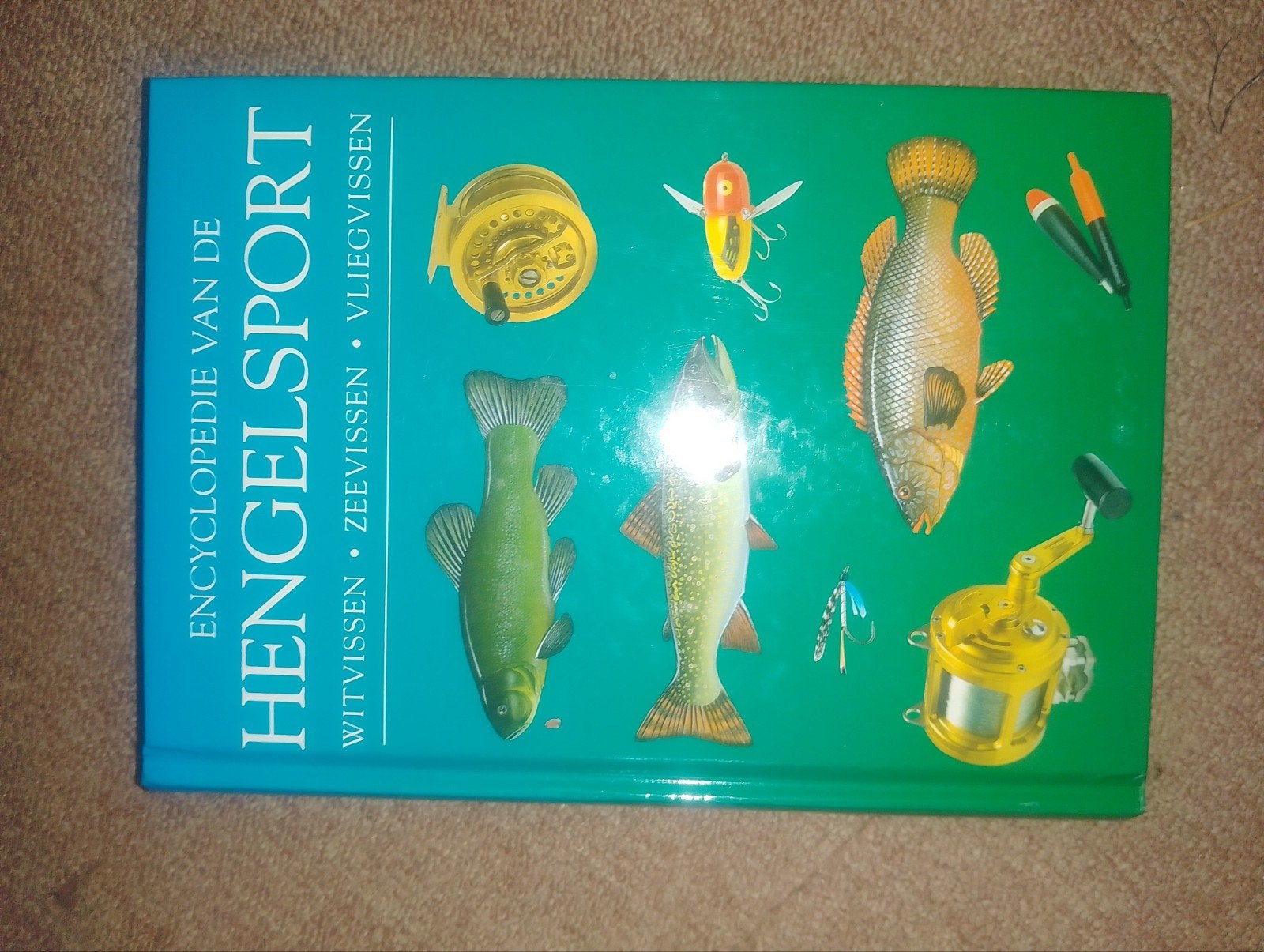 Encyclopedie van de Hengelsport - Boek over vissen, Watersport en Boten, Ophalen of Verzenden, Zo goed als nieuw, Boek of Tijdschrift