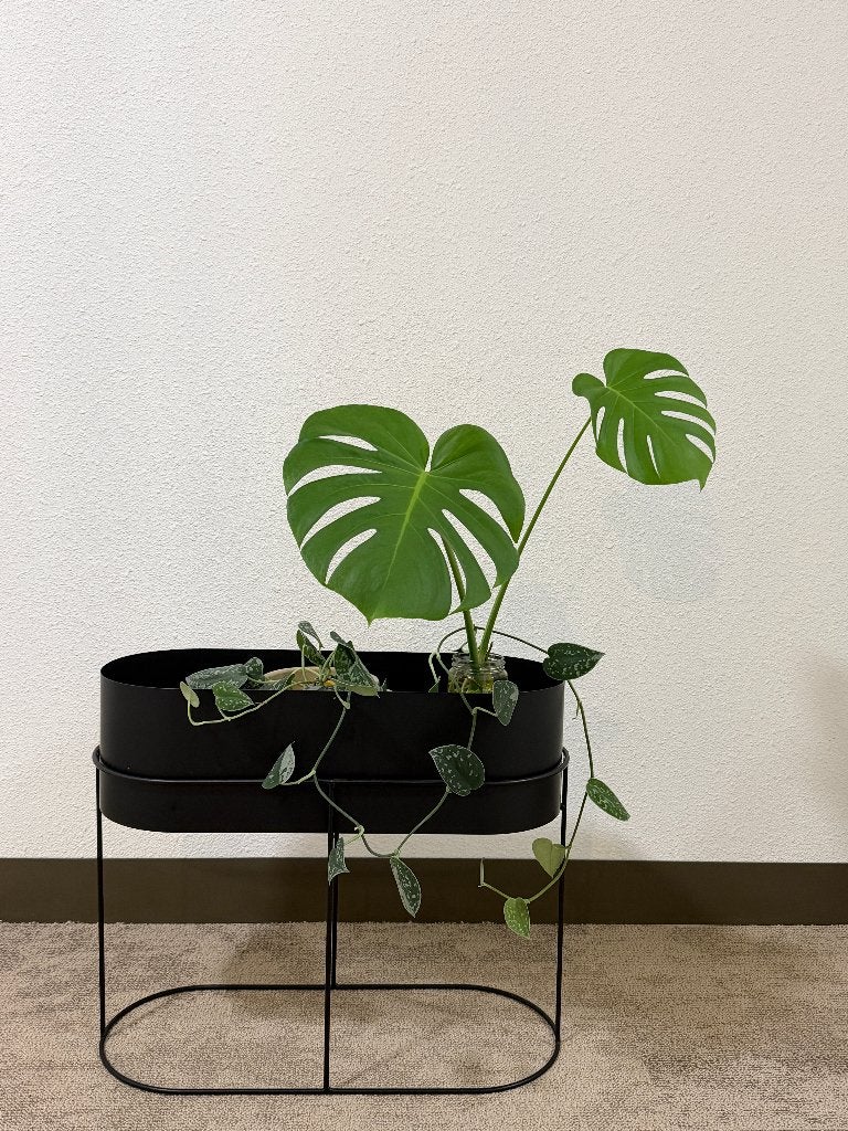 Zwarte Metalen Plantenbak op Standaard H&M Home, Ophalen, Gebruikt, Minder dan 30 cm, Minder dan 60 cm